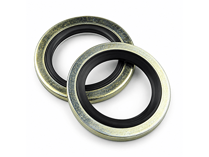 Dowty or Bonded Seals